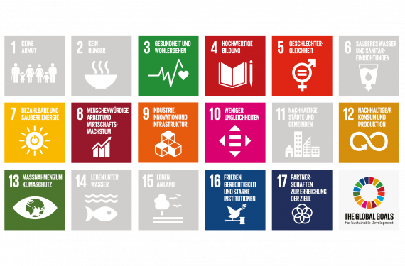 Sustainable Development Goals Grid