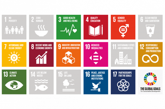 Sustainable Development Goals Grid