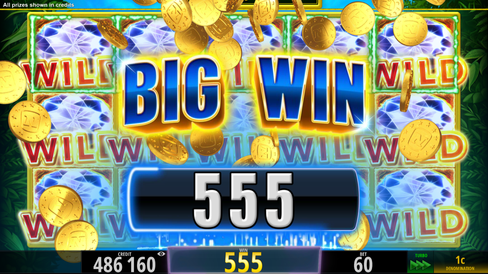 AmazonsDiamonds_Int_ENG_BG_BigWin2
