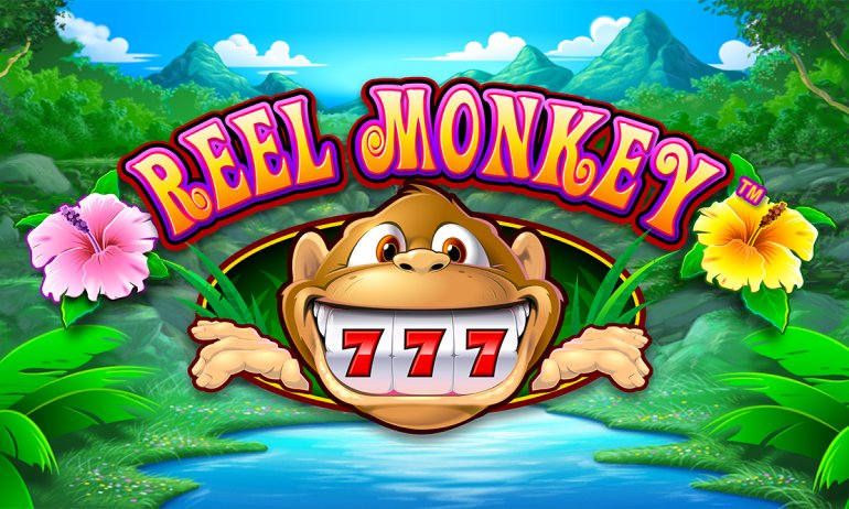 Monkey MKT Reel 2021